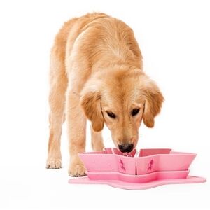 Jeffree Star Pink Pet Feeder Bowl